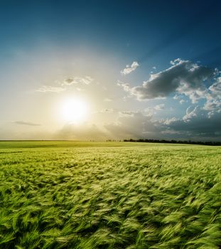 sunset over green field