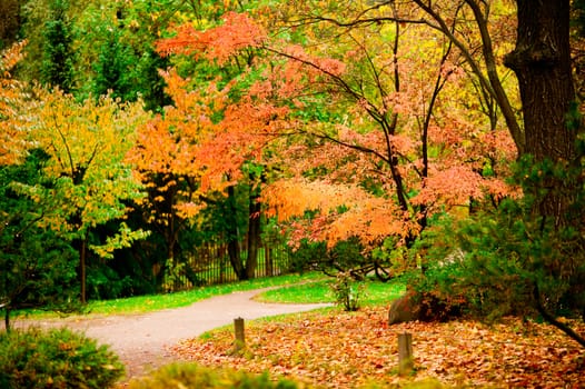 Autumn sketches in the park