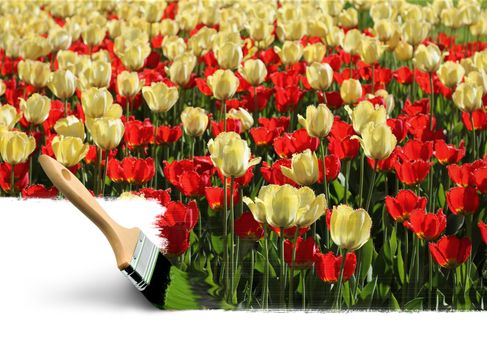 Paint brush painting spring tulips colours seasonal concept