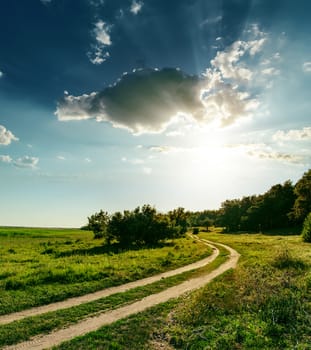 sunset over road in wood