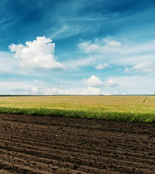 black plowed and green fields under cloudy sky