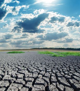 drought land under hot sun