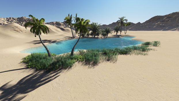 Oasis in the desert made in 3d software