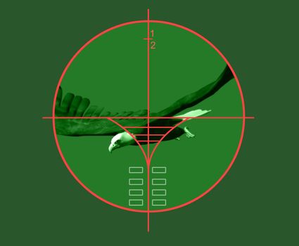 viewfinder of  sniper rifle made in 2d software