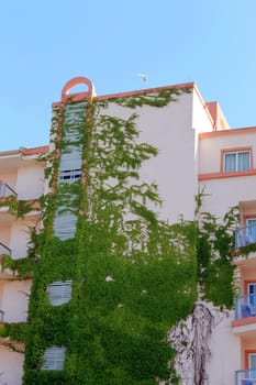Side view of ivy covered hotel building, Majorca, Spain.