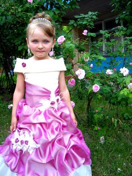 image of little very beautiful girl - princess