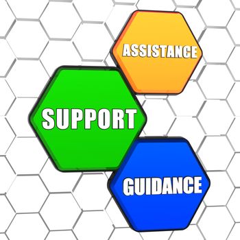 assistance, support, guidance - business concept words in 3d colorful hexagons in cellular structure