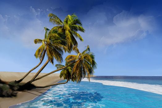 Several Palm trees hover over waves coming to the shore on an ocean island.