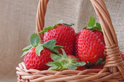 close up of basket with strawberries