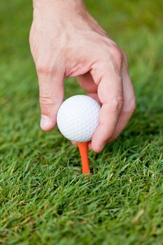 golf ball and iron on green grass detail macro summer outdoor playing golf 