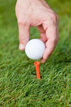 golf ball and iron on green grass detail macro summer outdoor playing golf 