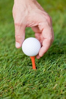golf ball and iron on green grass detail macro summer outdoor playing golf 