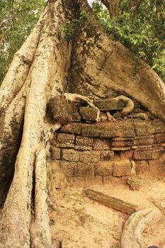 Ta Promh temple, Angkor area, Siem Reap, Cambodia