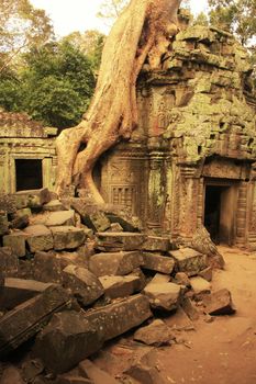 Ta Promh temple, Angkor area, Siem Reap, Cambodia