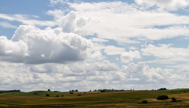 Rural summer landscape with field and beautiful clouds