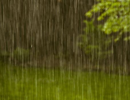 abstract background or texture rain in the garden