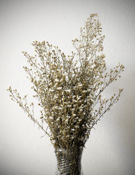 Dried bouquet of white flowers in vase on white background 