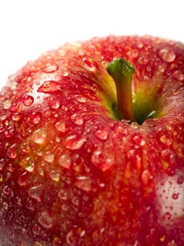 Macro photo of a wet red apple.