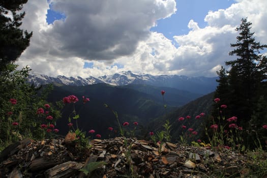 Mountains and forest on blue cloudy sky background. Landscape