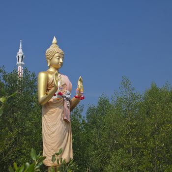 Standing Buddha statue is a beautiful eye