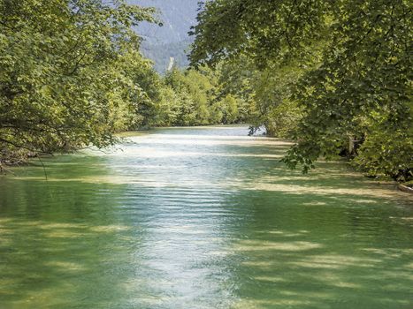 Green river with bright deciduous trees in summer