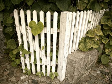 Vintage garden gate in retro style.