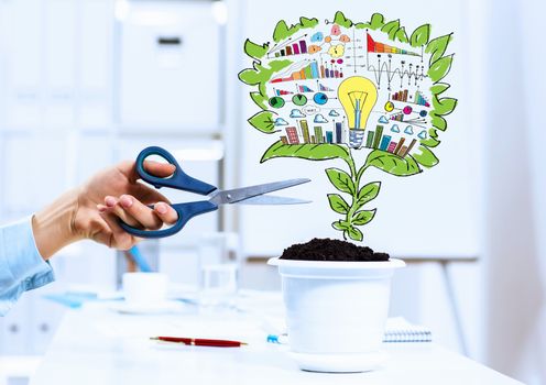 Close-up image of human hand and pot with money tree