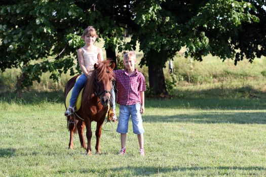 happy little girl and boy with pony horse on field