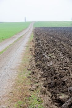 rural road between two fields