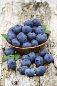 fresh blueberries in a bowl