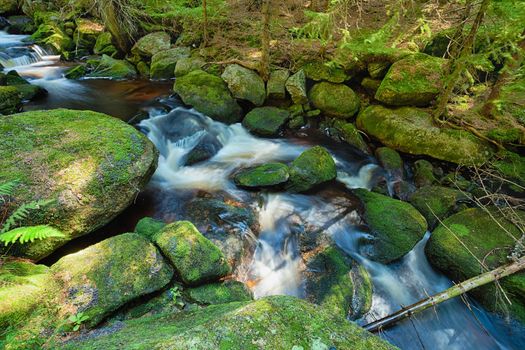 River runs over boulders in the primeval forest - HDR