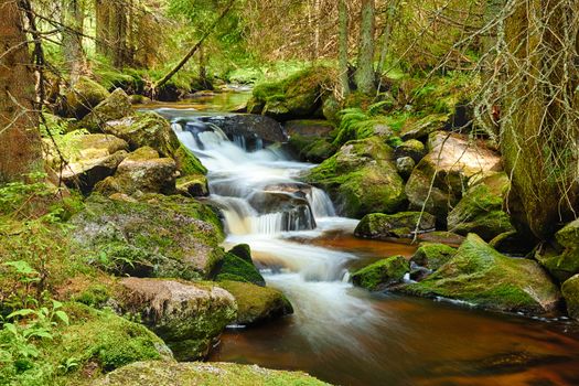 River runs over boulders in the primeval forest - HDR