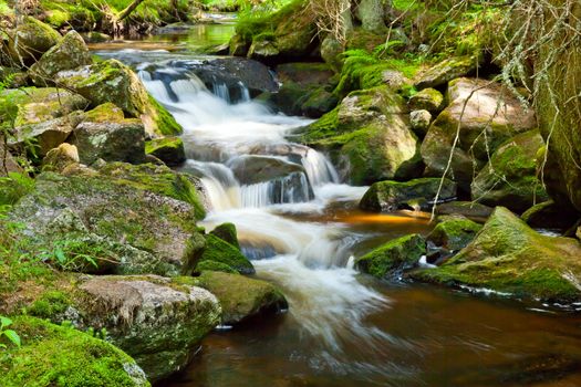 River runs over boulders in the primeval forest