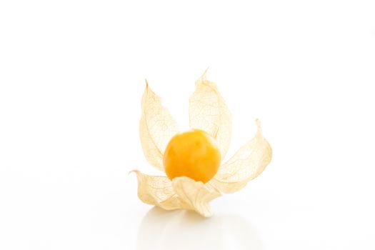 Cape gooseberry (physalis) over a white background