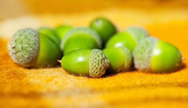 Heap of green acorns on yellow woolen rug
