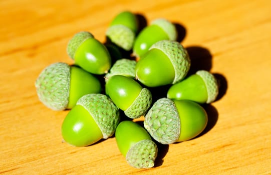 Heap of green acorns on yellow wood