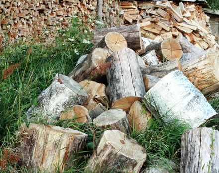 Large trunks of trees have been cut and lay on the grass. Prepared for the manufacture of wood.