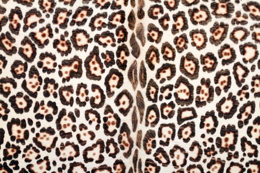 closeup of leopard fur - interesting texture