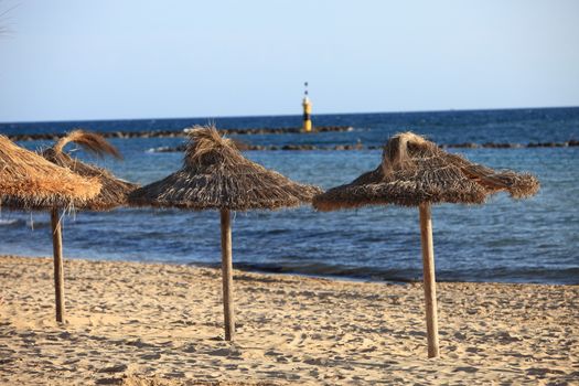 Traditional thatched umbrellas on wooden poles on a sandy tropical beach overlooking the ocean