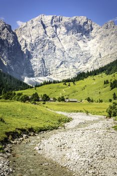 Rock face in the Alps with green meadow, forest and mountain stream