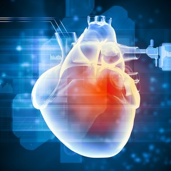 Virtual image of human heart with cardiogram