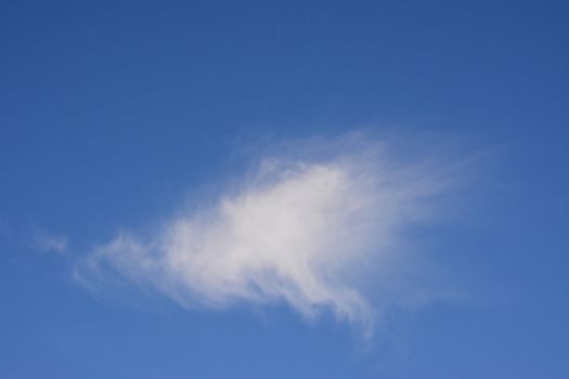 Single white fluffy cloud over the blue sky