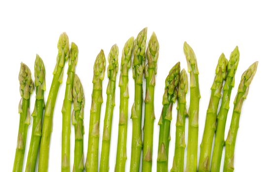 young shoots of asparagus on a white background