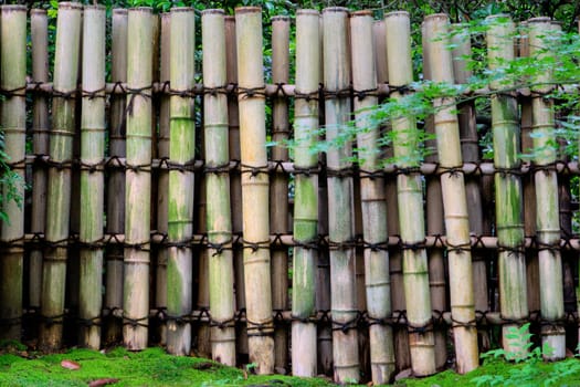 Japan, Kyoto, Bamboo Fence.