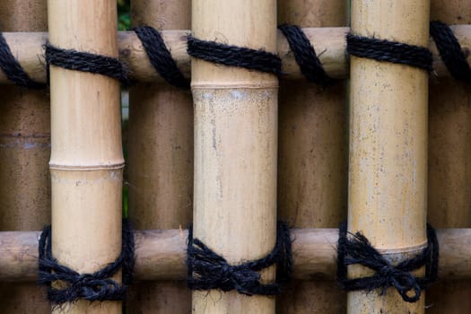 Japan, Kyoto, Bamboo Fence.