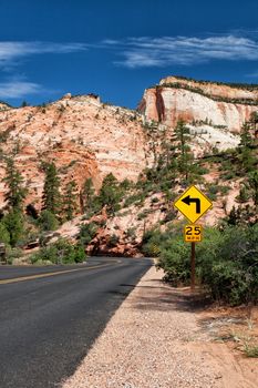 Empty road at aunset in Zion National Park in America