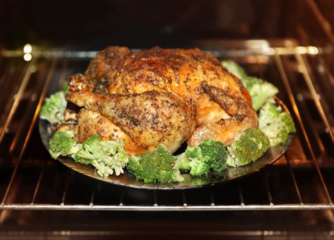 cooking roast turkey and cabbage in the oven