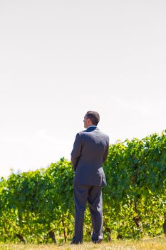 An attractive groom poses for a portrait on his happy wedding day outside at a winery vineyard in Oregon during the summer.