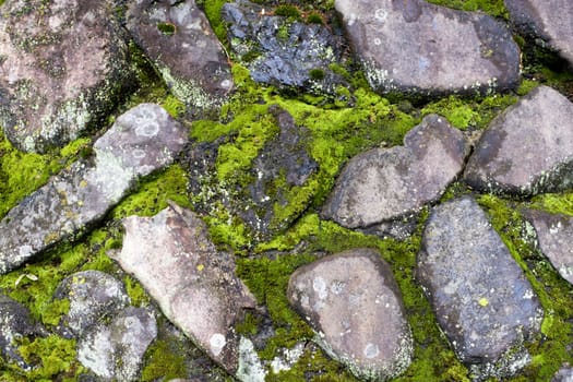 Old wall with moss among the stones