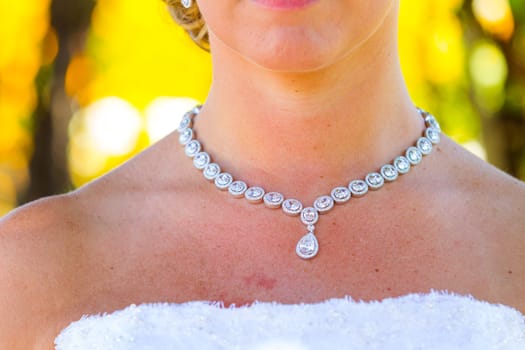 A beautiful bride wearing her wedding dress on her special day at a vineyard outdoors in Oregon during the summer.